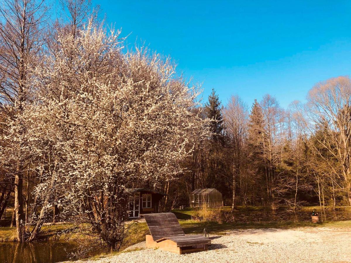 Fischerhaus Burgthann Buitenkant foto